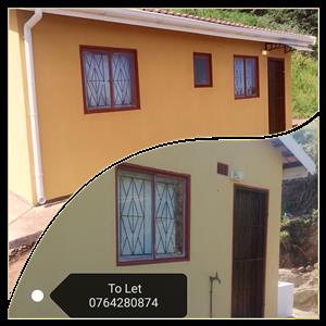 Professional painters, plumbing, electricity and overall maintenance/renovations