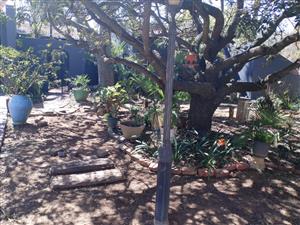 This charming freehold property in King Willow, features a garden framed with shrubs and trees