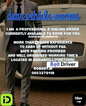 E-hailing driver available