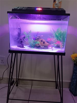 Fish tank with accessories 