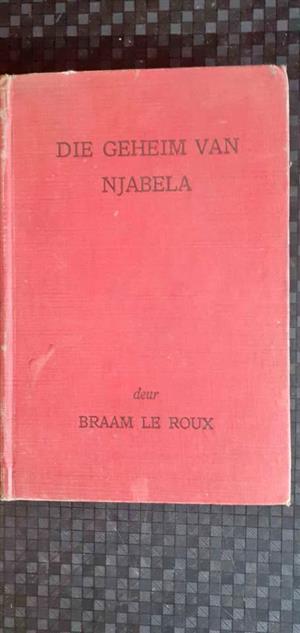 Die geheim van Njabela - Braam le Roux