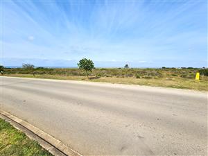 Calling Business Entrepreneurs & Investors to an Opportunity in Fountains Estate Business Park