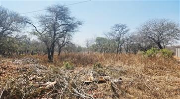 For Sale Hectorspruit Stand