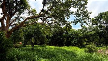 Vacant Land Residential For Sale in Kampersrus