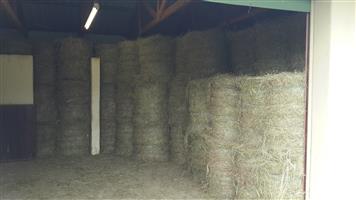 HAY FOR SALE SMALL ROUND 