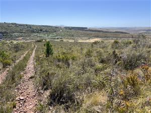 Agricultural and Investment Farm, Humansdorp