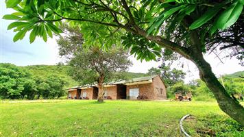 Off-The-Grid Exquisite Guest Farm – 70Ha For Sale