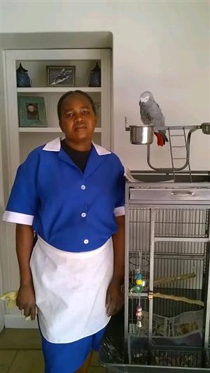 TRUSTWORTHY DOMESTIC WORKER