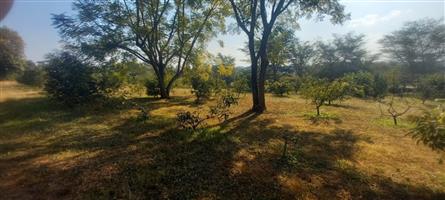 Exclusive 1 hectare of land on the  Yaverland road