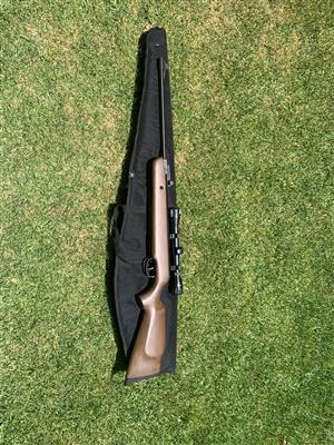 Pellet Gun 