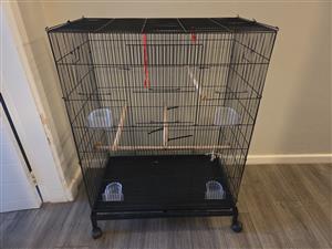 Bird cage 