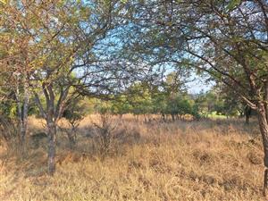 Vacant Land Residential For Sale in Koro Creek Golf Estate