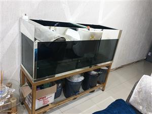 Bargain 5ft fish tank incl stand