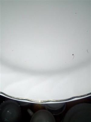 Plates, bowls, salad bowl ,mugs