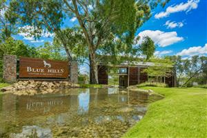 Vacant Land Residential For Sale in Blue Hills Equestrian Estate