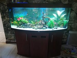 Marine tank or tropical fish tank | Juwel Vision 450 | For Sale