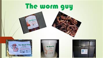 The Worm Guy