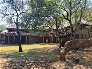 Magnificent Game Lodge and Game Farm in Limpopo  – A Unique Opportunity Awaits!