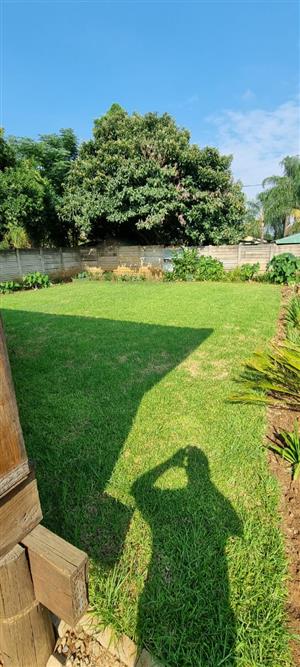 BARGAIN BARGAIN BARGAIN 