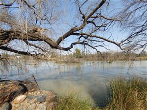Vacant Land Agricultural For Sale in Vischgat