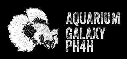 Custom Built Aquariums , Fish Pond and Maintenance Services