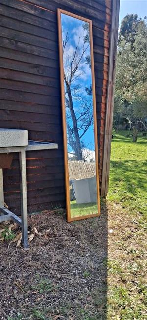 Dress Mirror 180 x 40 cm