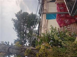 2 galvanized carport structures for sale 