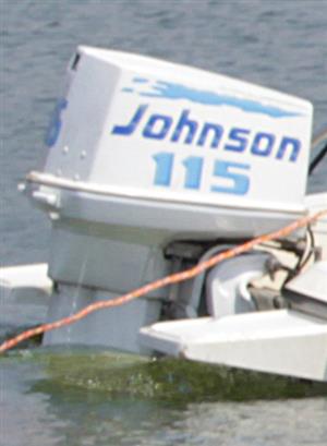115 Johnson Boat for Sale