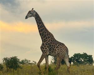Foundations laid in Stunning Eco Estate
