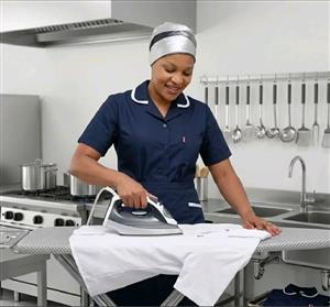 Cleaning service