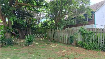 Fixer-up Property