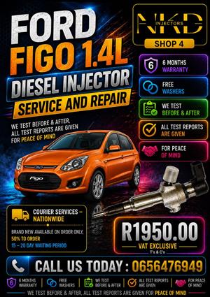 Ford_Figo_1.4L_Diesel_Injectors_on_Recon