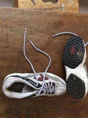 Kookaburra cricket shoes