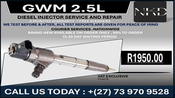 GWM 2.5L Diesel Injectors 