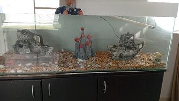 Large Fish Tank for Sale