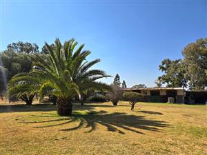 Small Holding For Sale in Apple Orchards