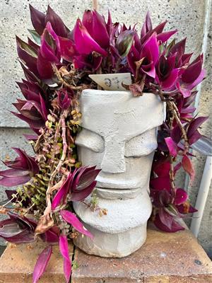 Some head planters 