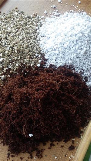 Growing Media (Perlite, Vermiculite, Coco Peat)