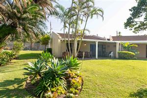 Bird and beach life come together