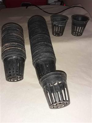 Vistenk plante houers te koop.