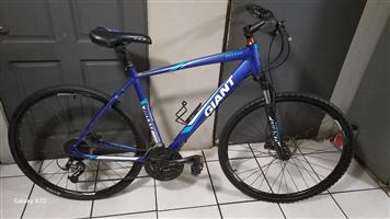Giant Roam bicycle