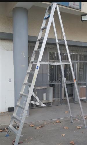 12 Step Aluminium ladder