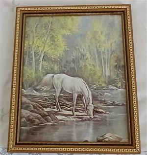 Framed print of a horse