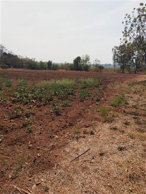 4.5 ha Crop Farm land to rent in Waterval