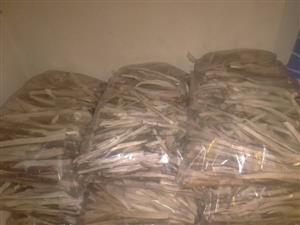 Port-Jackson Firestarters