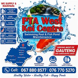 Swimming pool and fish pond maintenance 