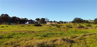 Smallolding in Albertinia