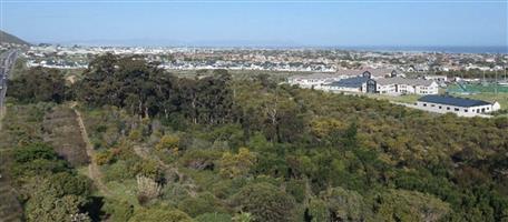 A Harvest of possibilities