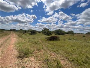 Farm For Sale in Tweefontein AH