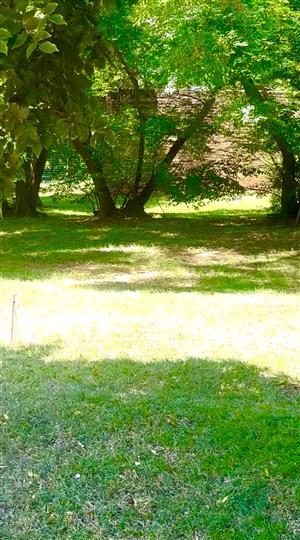 Gold is valuable and this land is GOLD IN MORNINGSIDE